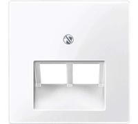 Merten Merten Plaque centrale pws/gl pour insert UAE 2f. 296119 Quantité:1
