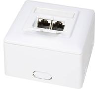 Prise réseau montage apparent (en saillie) CAT 6 2 ports LogiLink NP0039A blanc