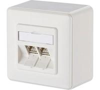 Prise réseau montage apparent (en saillie) CAT 6a 2 ports Metz Connect