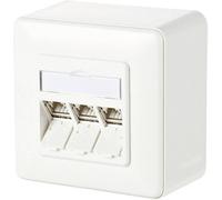 Prise réseau montage apparent (en saillie) CAT 6a 3 ports Metz Connect 130B11D30002-E blanc pur