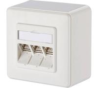 Prise réseau montage apparent (en saillie) CAT 6a 3 ports Metz Connect 130B12D30002-E blanc pur