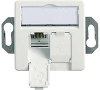 Telegärtner Prise réseau 100022957 encastrée insert avec plaque centrale CAT 6a 2 ports blanc-alpin