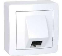 Prise RJ 45 Alréa - Catégorie 6 UTP - Complet G