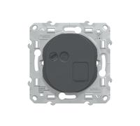 Prise RJ45 CAT6 STP 1 poste Ovalis Anthracite Schneider