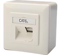Prise RJ45 DIGITUS Cat6a 2xRJ45 blindée en saillie blanc de signalisation