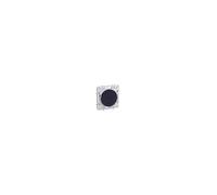 Prise RJ45 ODACE anthracite GRADE 3 CAT. 6 STP à vis - SCHNEIDER - S546476