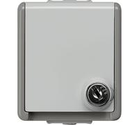 Siemens Gamme d'interrupteurs Prise 2P+T Delta gris 5UB4714 1 pc(s)