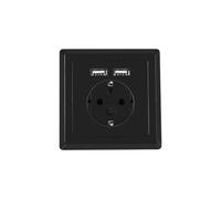 Prise simple avec contact de protection/u AC-WS01-USB2-F-B