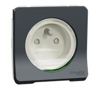 Prise terre étanche composable Mureva 1 poste gris Schneider