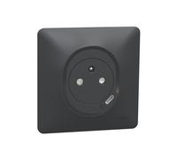Prise terre + USB C 1 poste Ovalis Anthracite Schneider