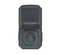 Prise terre + va-et-vient verticale étanche complet Plexo 2 postes anthracite Legrand