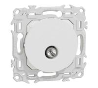 Prise TV simple mâle - Sortie coaxiale - Odace - CCT501801 - Schneider