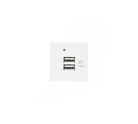 Maclean MCE728W USB Steckdose Ladegerät 2x USB-Anschluss bis 2.1A Fast Charge Modulare Wandsteckdose Unterputzdose Wanddose Einbaudose Unterputz Montage (USB-Steckdose 2.1A, Weiß)