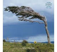 Prism - What You See [Import]