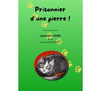 Prisonnier D'une Pierre!