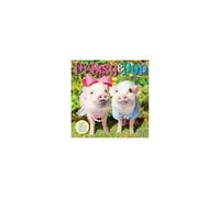 Prissy & Pop: Big Day Out