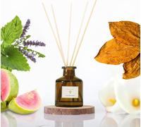 PRISTINE Diffuseur Reed avec parfum de feuilles de tabac 50 ml