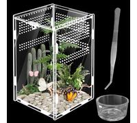PRITOK - Terrarium pour Reptiles et Amphibiens, en Verre, Portable, pour Araignées, Scorpions, Coléoptères, Anolis, 20 x 12 x 12 cm