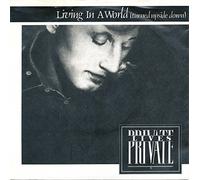 PRIVATE LIVES - LIVING IN A WORLD 7" (45) UK EMI 1984 B/W BREAKUP (PRIV4) PIC SLEEVE