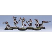 Privateer Press Warmachine: Protectorate: Daughters Of The Flame Model Kit []