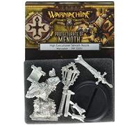 Privateer Press Warmachine: Protectorate: High Executioner Reznik Model Kit []