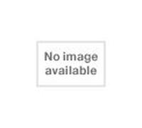 Prize Fight, the - Words Don T Mean Anything +3 [Import]