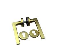 PRNDKYQZ Serrure de poignée estampée en Acier Inoxydable doré PVD, Imitation de Serrure de Porte Coupe-feu moulée de précision, Serrure de Salle de Bain d'hôtel