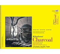 Pro-Art-Bilderpalette 330180 Strathmore Spirale Gris Anthracite Papier Pad 45,7 cm x 61 cm, 24 Feuilles