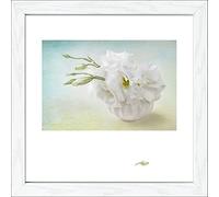 Pro-Art-Bilderpalette an477o2 en scandic-Living 'blütenträume iV'35 x 35 cm