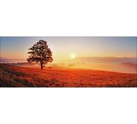 Pro-Art-Bilderpalette de Photos Palette gla1301 C Lonely Tree Art de Verre Multicolore 30 x 80 x 1,3 cm