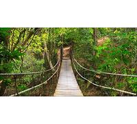 Pro-Art-Bilderpalette g1664g Tableau Mural Impression gi Motif The Jungle 100 x 50 cm, Multicolore, 100x50 cm