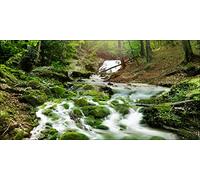 Pro-Art-Bilderpalette g1666a Tableau Mural Impression giclée Motif Voies mystiques 30 x 30 cm, Multicolore, 60x30 cm