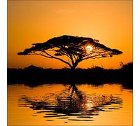 Pro-Art-Bilderpalette g1671a Tableau Mural Impression gi Motif Paysage Africain I 30 x 30 cm, Multicolore, 50 x 50 cm