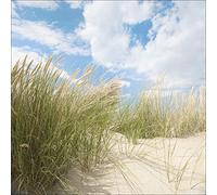 Pro-Art-Bilderpalette g1696a Tableau Mural Impression giclée Motif Jour d'été I 30 x 30 cm, Multicolore, 30 x 30 cm