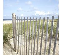 Pro-Art-Bilderpalette gla662a Sand Sedge II Décoration Murale sous Verre Motif Dune 30 x 30 cm