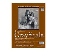 Pro-Art-Bilderpalette Strathmore Assortis Teintes Gris à Papier Pad 9 x 30,5 cm, 15 Feuilles