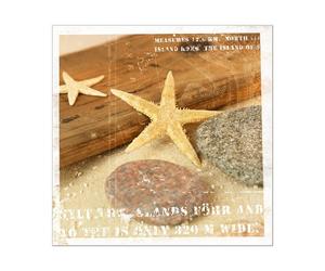 Pro Art Impression sur Toile, Jewelery of The Sea II - Taille : 30 x 30 cm