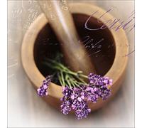 Pro Art Impression sur Toile, Lovely Lavender I - Taille : 30 x 30 cm