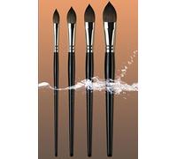 Pro Arte Série 50 Artiste Pure écureuil Kazan Lavage Peinture Brosse Gamme, S