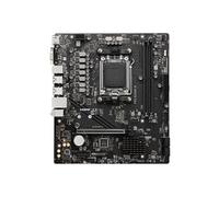 PRO B650M-B - Carte-mère - micro ATX - Socket AM5 - AMD B650 Chipset - USB 3.2 Gen 1 - 2.5 Gigabit LAN - carte graphique embarquée (unité centrale