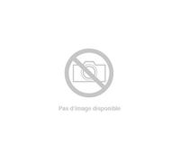 ASUSPRO B9 B9440FA-GV0019R - Intel Core i7 - 8565U / 1.8 GHz - Win 10 Pro 64 bits - UHD Graphics - 16 Go RAM - 512 Go SSD - 14" IPS 1920 x 1080 (Full HD) - Wi-Fi 5 - gris, alliage de magnésium - avec