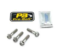 Pro Bolt Bmw R 1150 Gs 04/r 1150 Gs Abs 04/r 1200 Gs 04-07 Brake Caliper Anchor Screw Set Argenté