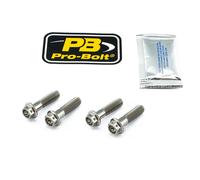 Pro Bolt Honda Cb 1300 98-02/cb 1300 Abs 05-08/cb 1300 Dc 97-00 Brake Caliper Anchor Screw Set Argenté