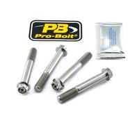 Pro Bolt Kawasaki Ninja 1000 Sx Abs 20-23/z 1000 Abs 14-16 Tifbmon190r Brake Caliper Anchor Screw Set Argenté