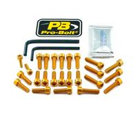 Pro Bolt Kit De Vis De Moteur Bmw R 1250 Gs Abs 19-24