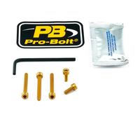 Pro Bolt Kit De Vis De Réservoir De Carburant Honda Cbr 1000 Rr 17-19/cbr 1000 Rr Abs 17-19