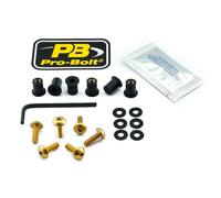 Pro Bolt Vis De Pare-brise Scr 6 Sk6g
