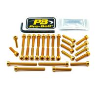 Pro Bolt Vis Kawasaki Z 900 18-19/z 900 Abs 17-24 Eka410g