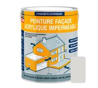 PRO COM Peinture façade crépi, façade à relief, imperméabilisation et protection des façades - Durable jusqu'à 10 ans 2.5 litres