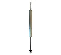 PRO DSP 200 mm Int cartridge incluye piezas de montaje pour adultes, avec format pratique, solution polyvalente